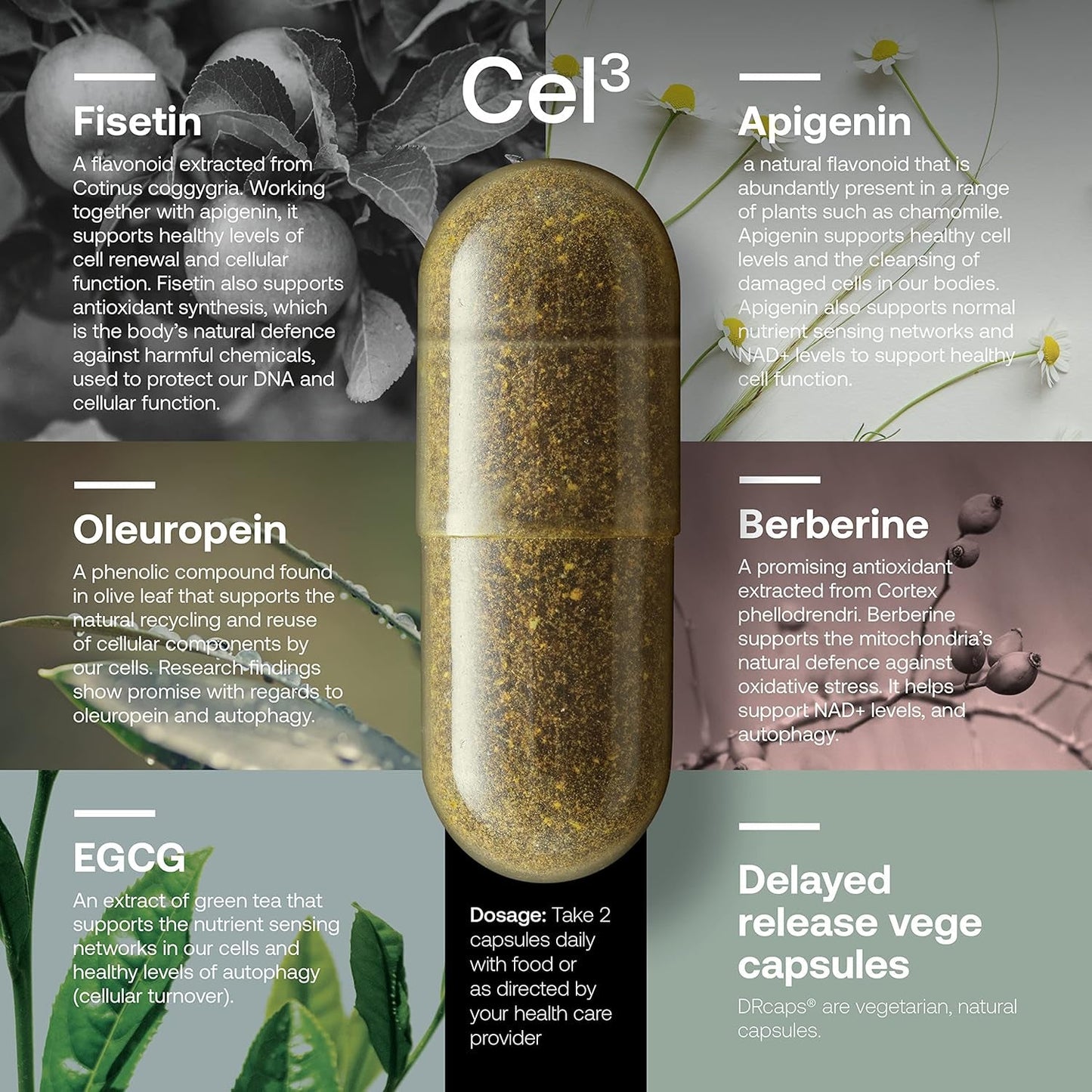 Cellular Renewal Supplement - 60 Capsules Anti Aging Support