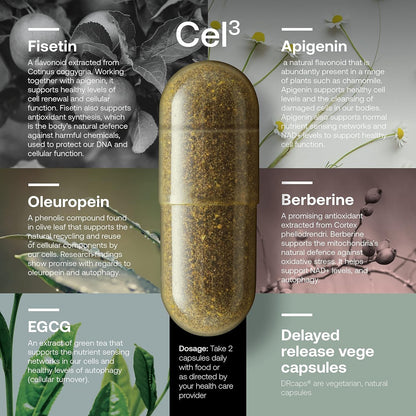 Cellular Renewal Supplement - 60 Capsules Anti Aging Support