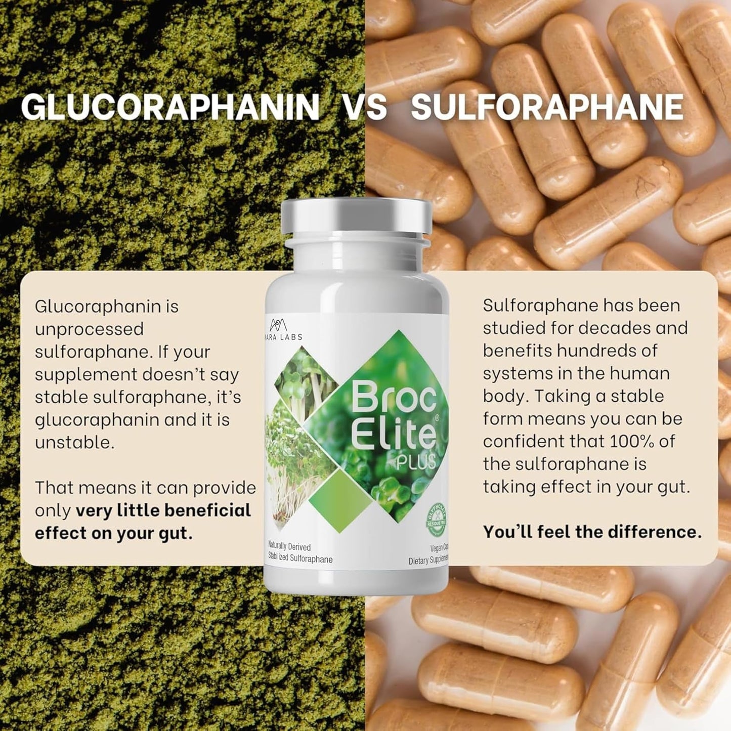 Premium Immune Boost Supplement 60 Capsules