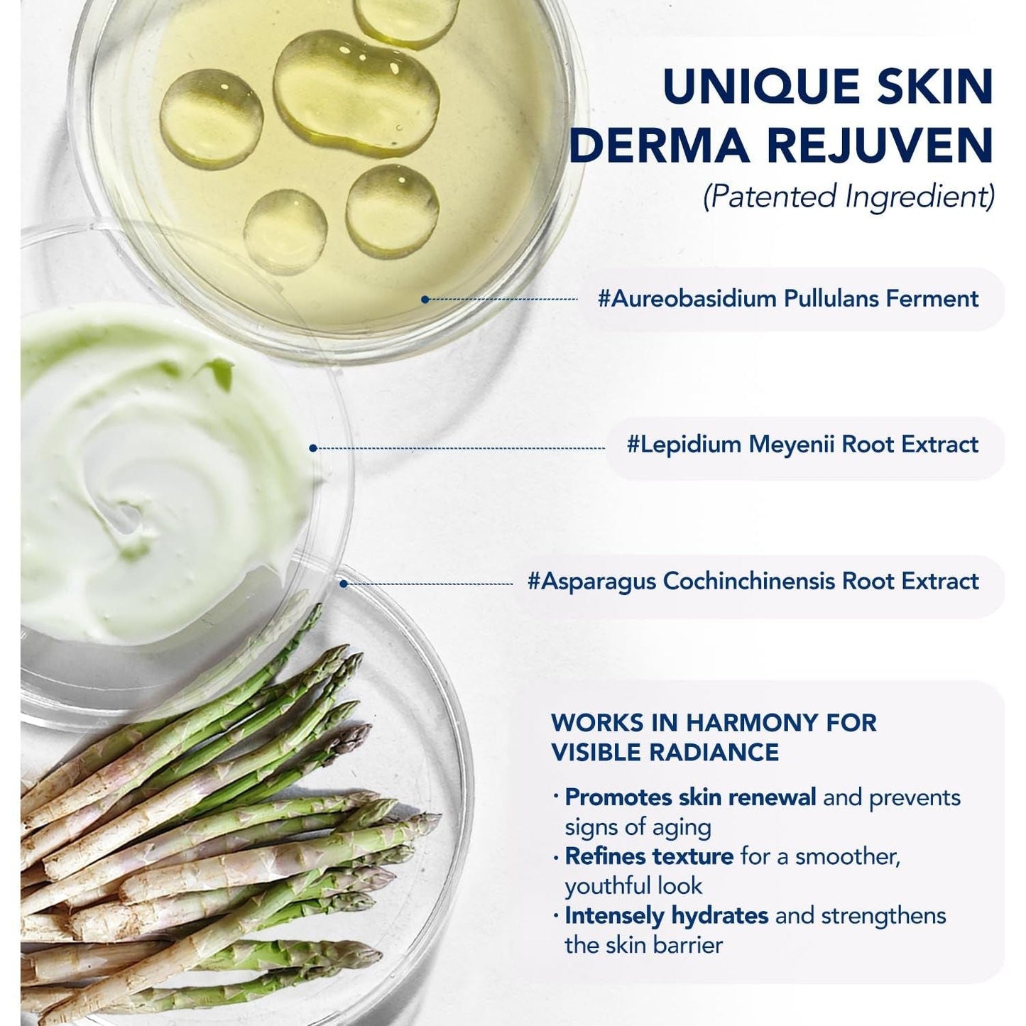 Anti Aging Neck Cream 50g | Intensive Lifting Moisturizer