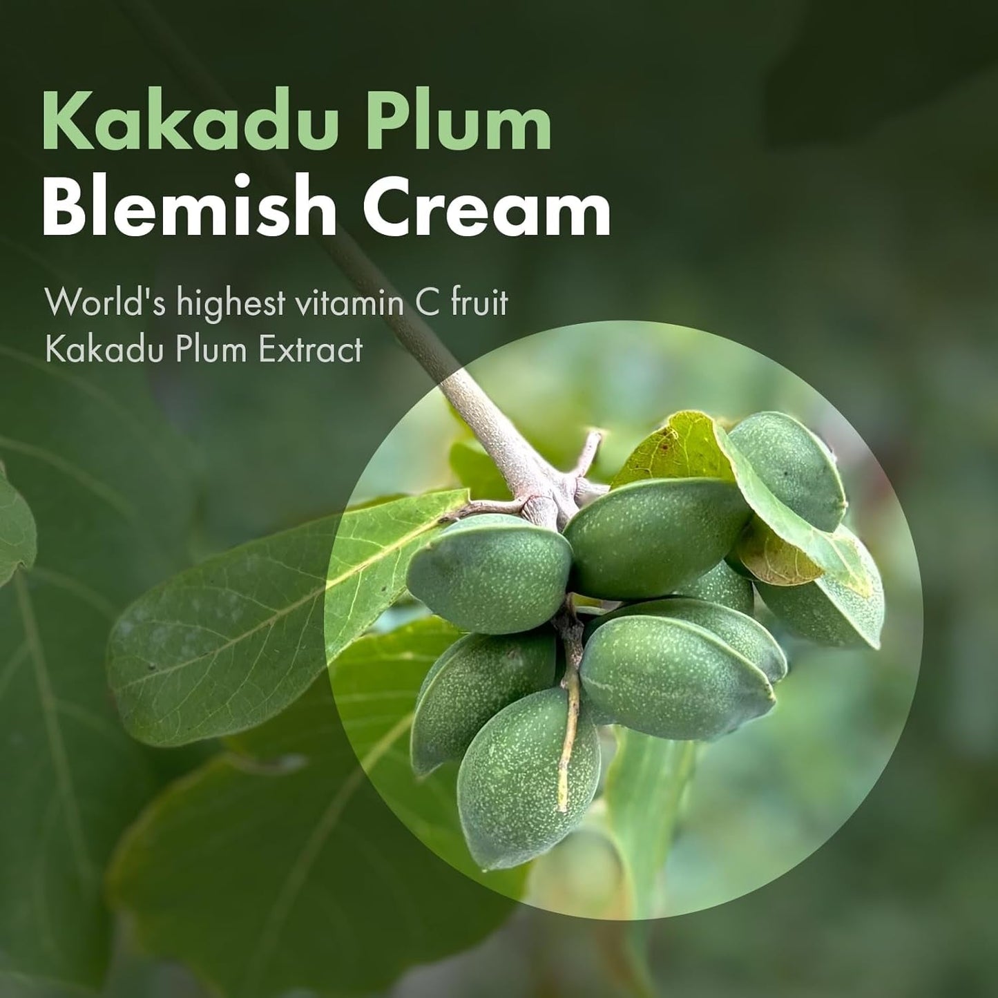 Natural Kakadu Plum Spot Corrector Cream 50g