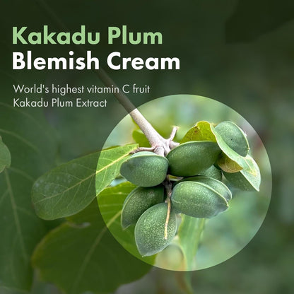 Natural Kakadu Plum Spot Corrector Cream 50g