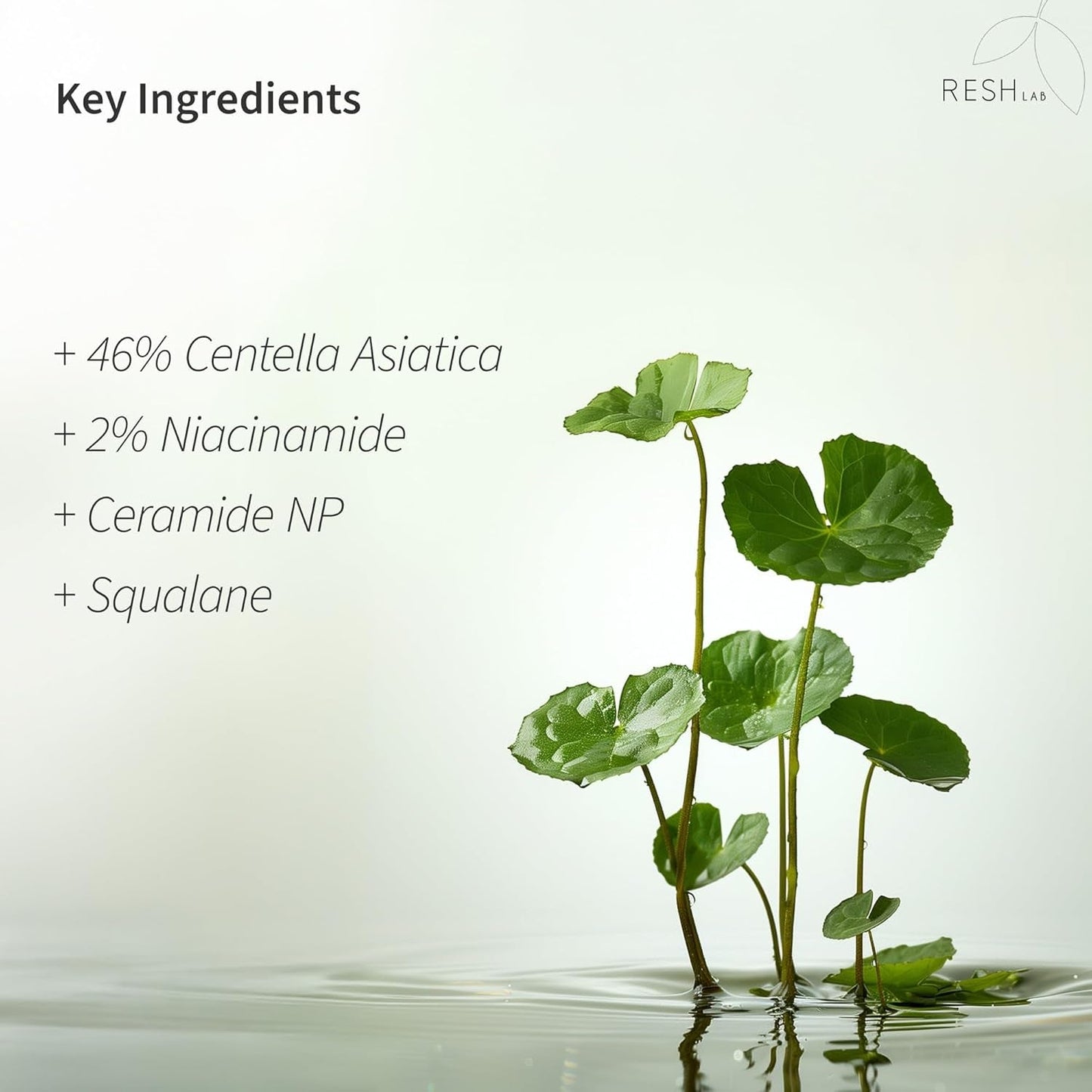 Gentle Soothing Moisturizer Cream 50ml - Daily Skin Relief