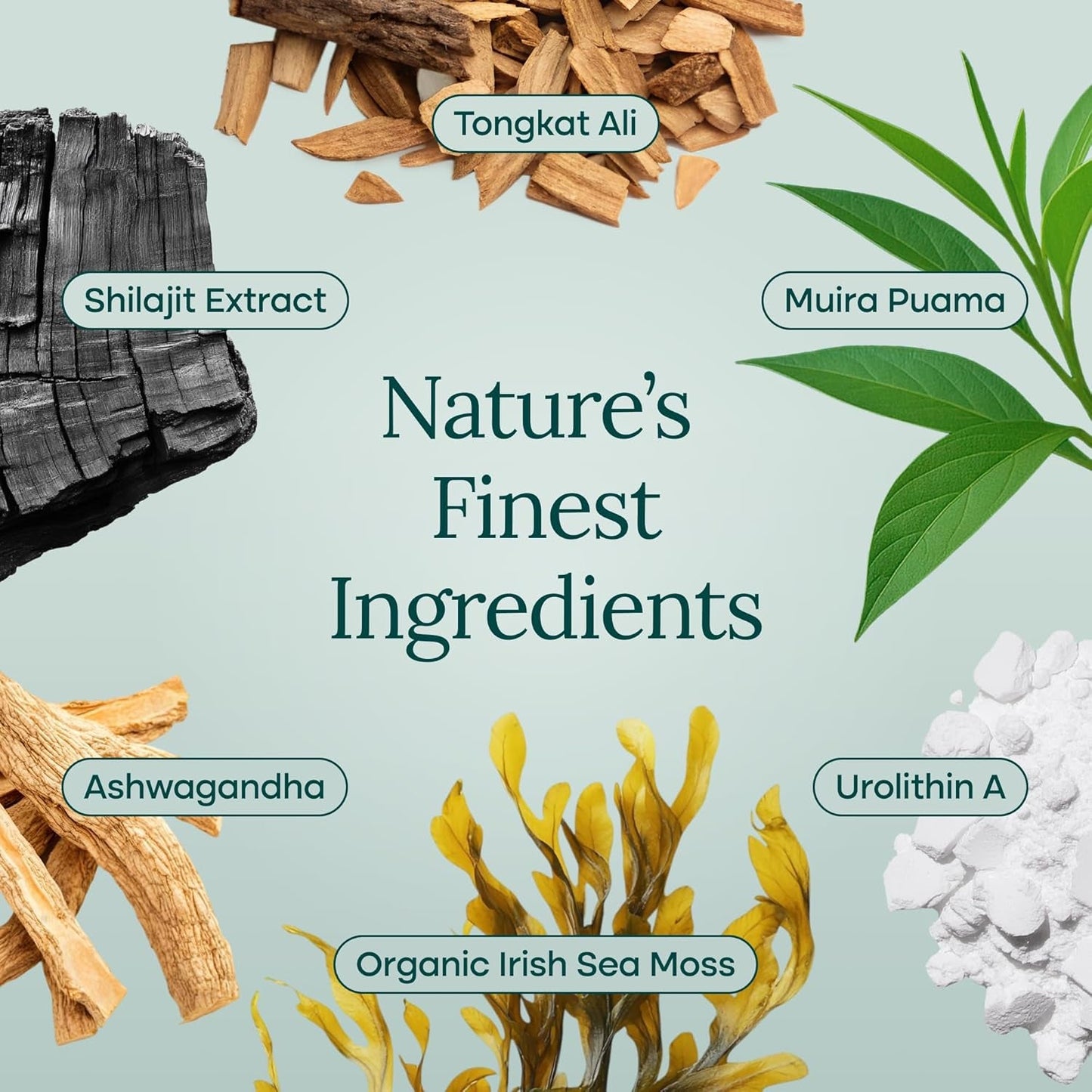 Natural Energy Boost Capsules with Focus Support