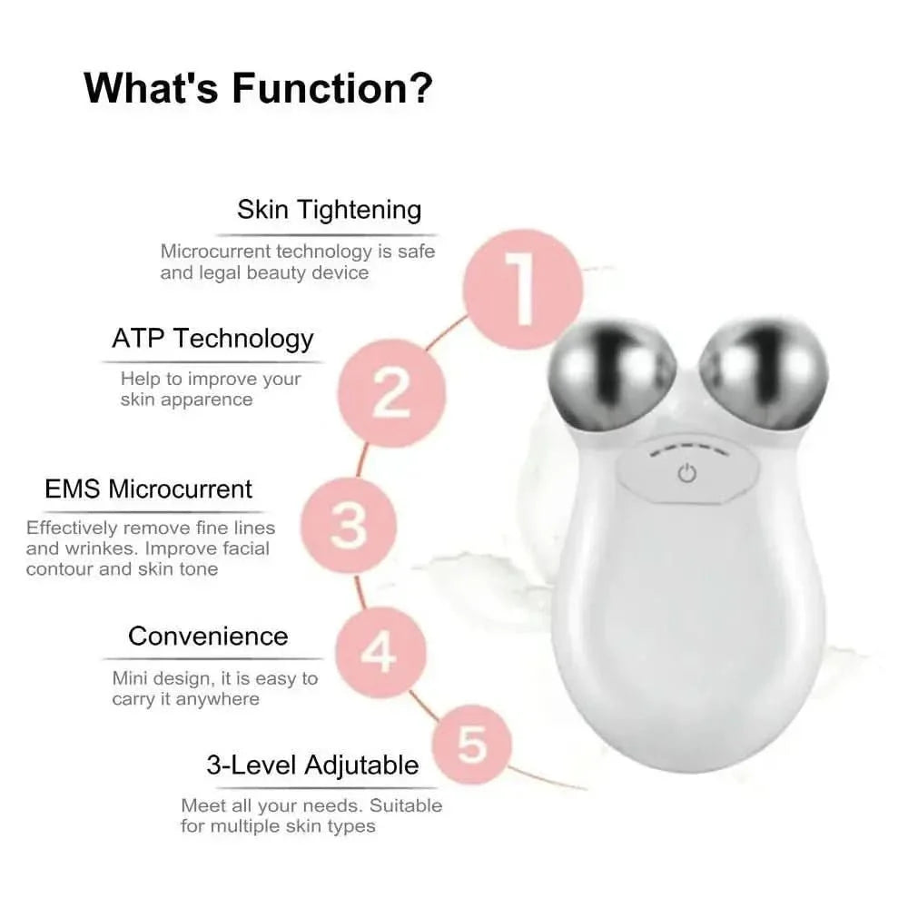 Compact Anti Aging Face Massager Roller