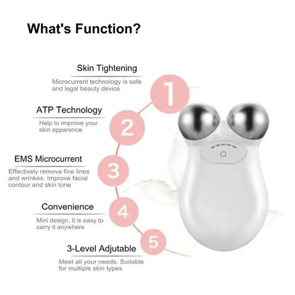 Compact Anti Aging Face Massager Roller