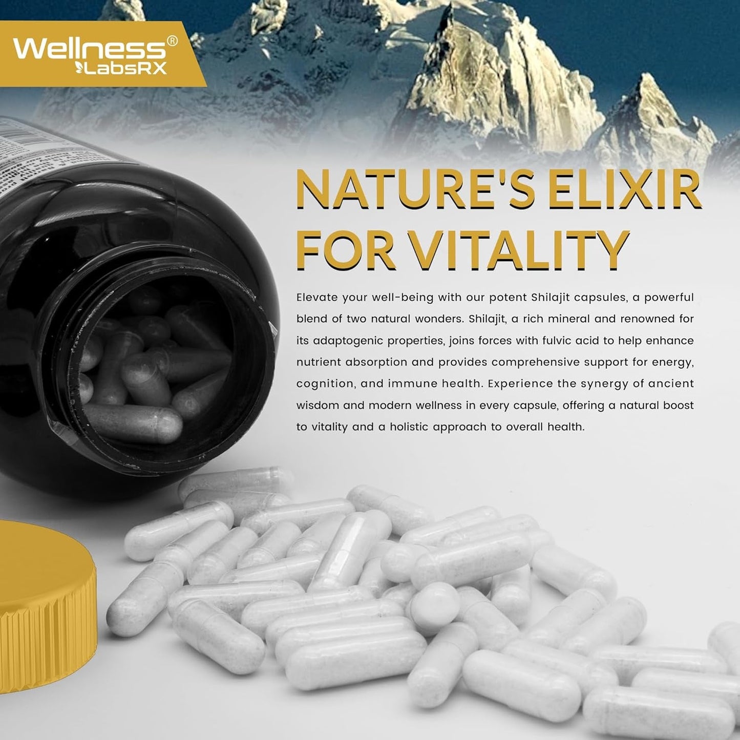 Powerful Shilajit 15000MG Capsules - Natural Energy Booster