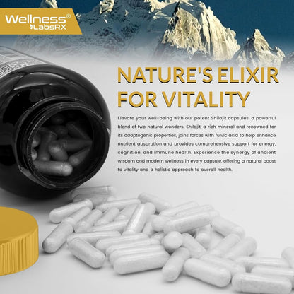 Powerful Shilajit 15000MG Capsules - Natural Energy Booster