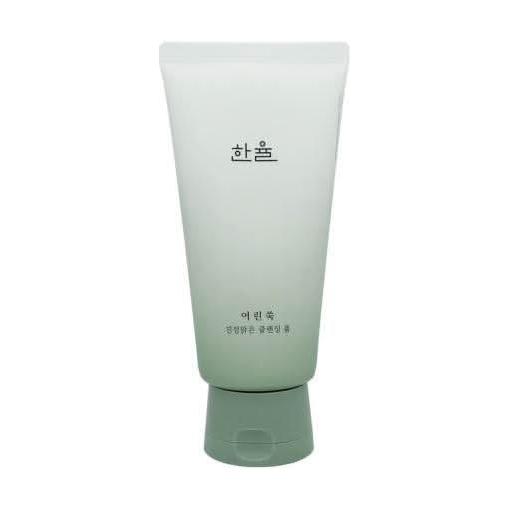 Gentle Mugwort Face Cleanser 120g - Soothing Foam Wash
