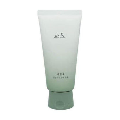 Gentle Mugwort Face Cleanser 120g - Soothing Foam Wash