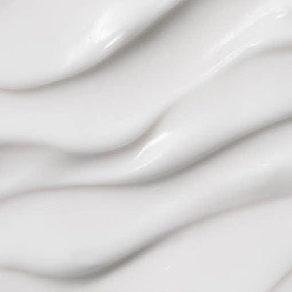 Nourishing Moringa Face Moisturizer Cream 50ml