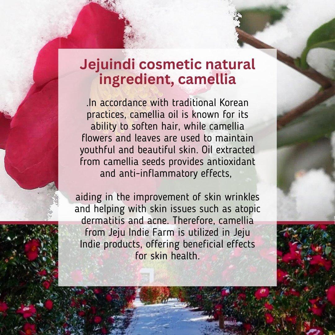Natural Daily Moisturizing Sunscreen Cream
