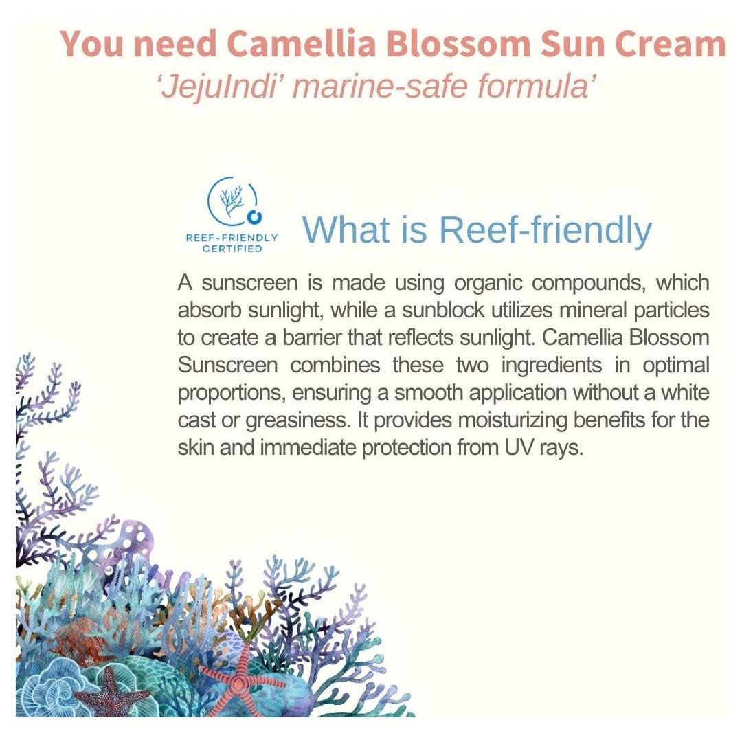 Natural Daily Moisturizing Sunscreen Cream
