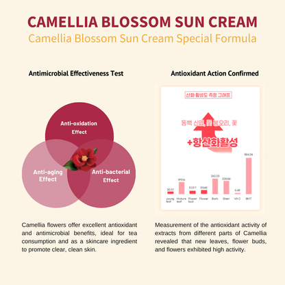 Natural Daily Moisturizing Sunscreen Cream