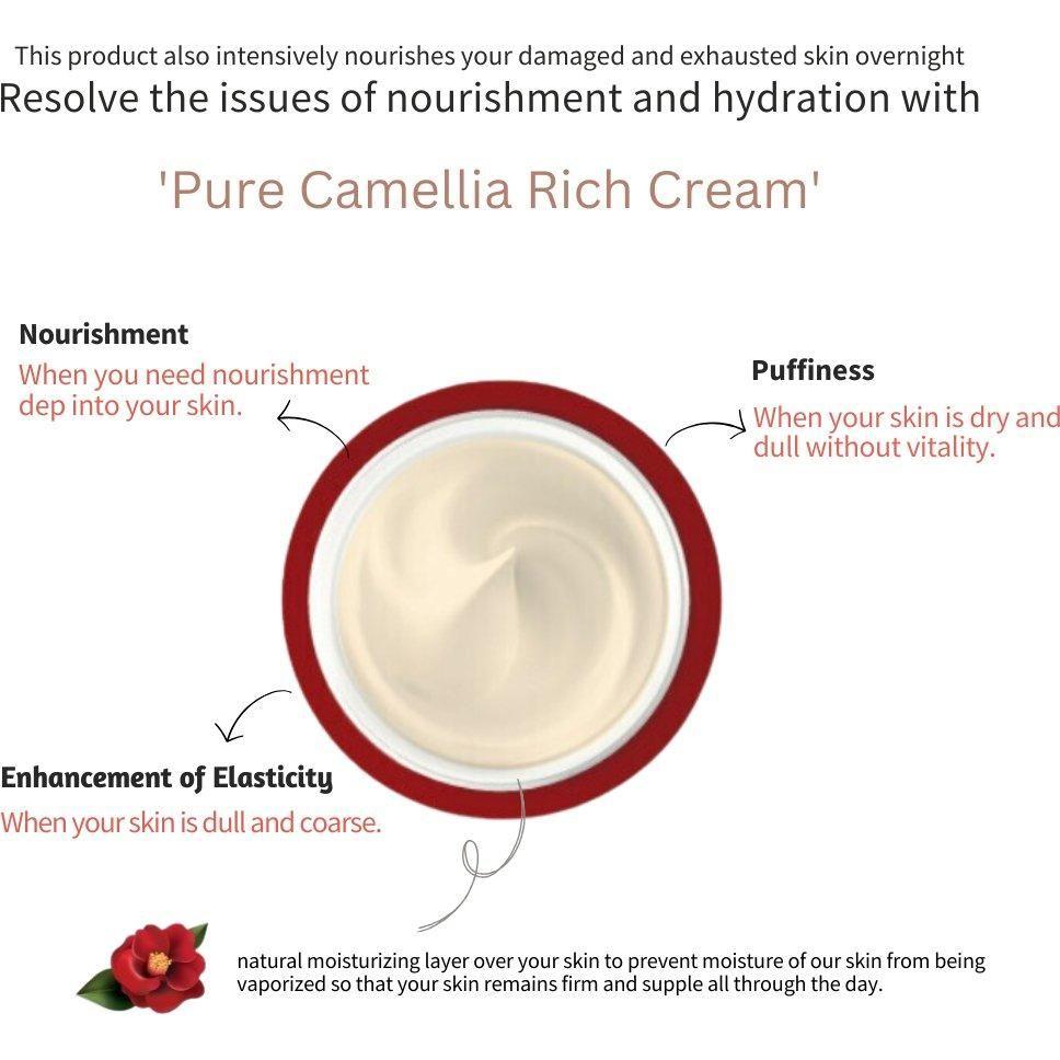 Moisturizing Jeju Camellia Intensive Hydrating Cream 50ml
