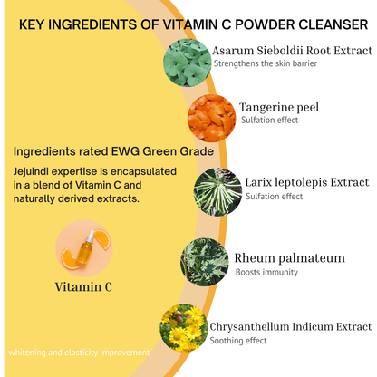 Natural Vitamin C Exfoliating Face Cleanser