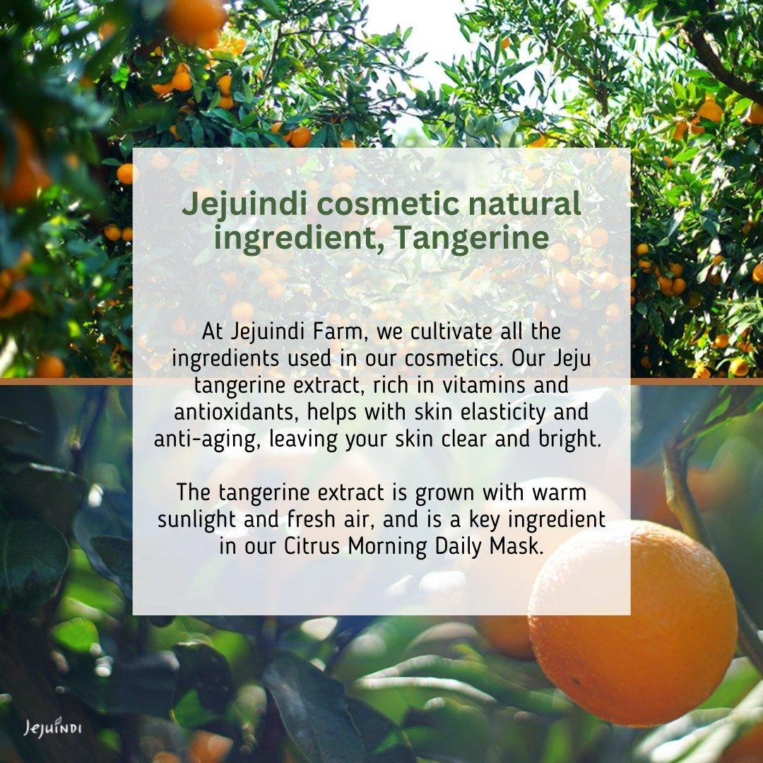 Natural Vitamin C Face Mask for Glowing Skin