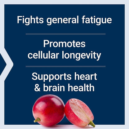 Premium Anti Aging Supplement & Energy Booster Capsules