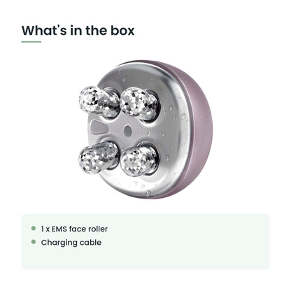 What's in the box: 1 x ems face roller, charging cable