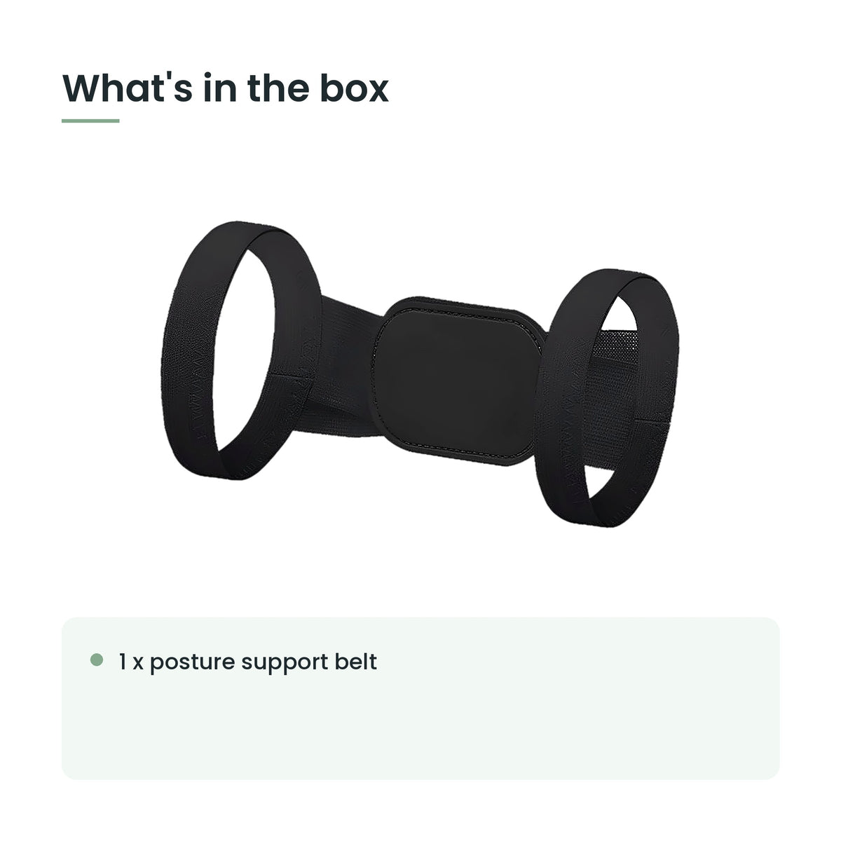 What's in the box: 1 x posture support belt