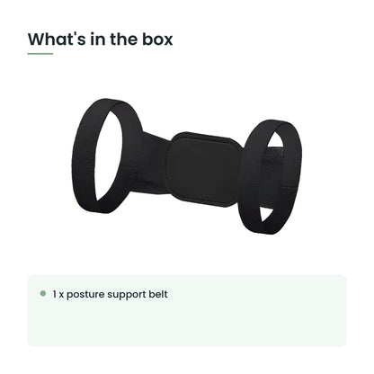 What's in the box: 1 x posture support belt