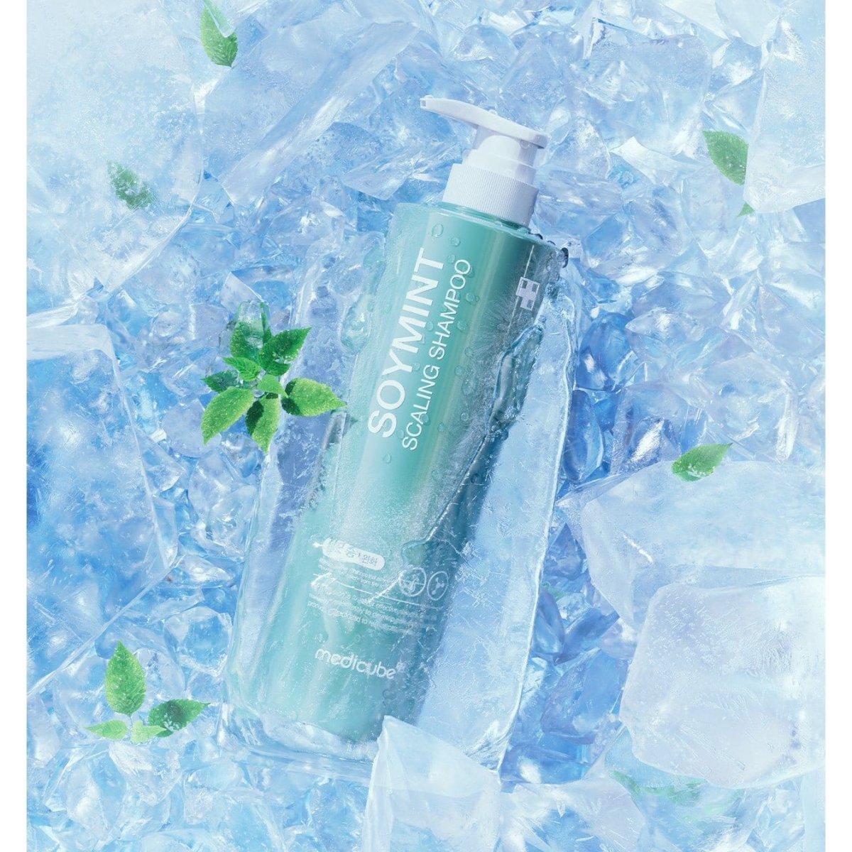 Gentle Mint Anti Dandruff Shampoo