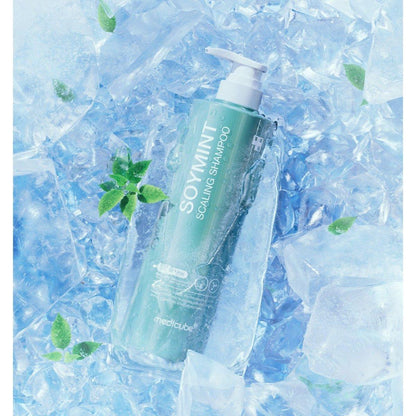 Gentle Mint Anti Dandruff Shampoo
