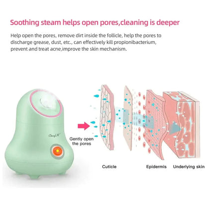Miniature Facial Steam Cleaner
