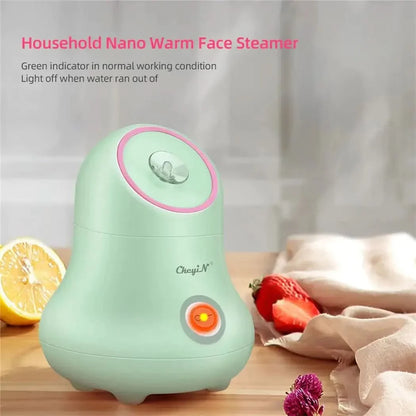 Miniature Facial Steam Cleaner