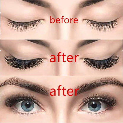 Easy Apply Magnetic Lashes
