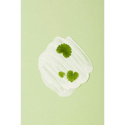 Gentle Tea Tree Facial Cleanser Foam - 120ml