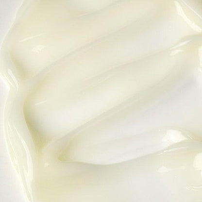 Natural Anti Aging Skin Revitalizing Moisturizer Cream