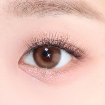 Natural Lightweight False Eyelashes - 100 Pack