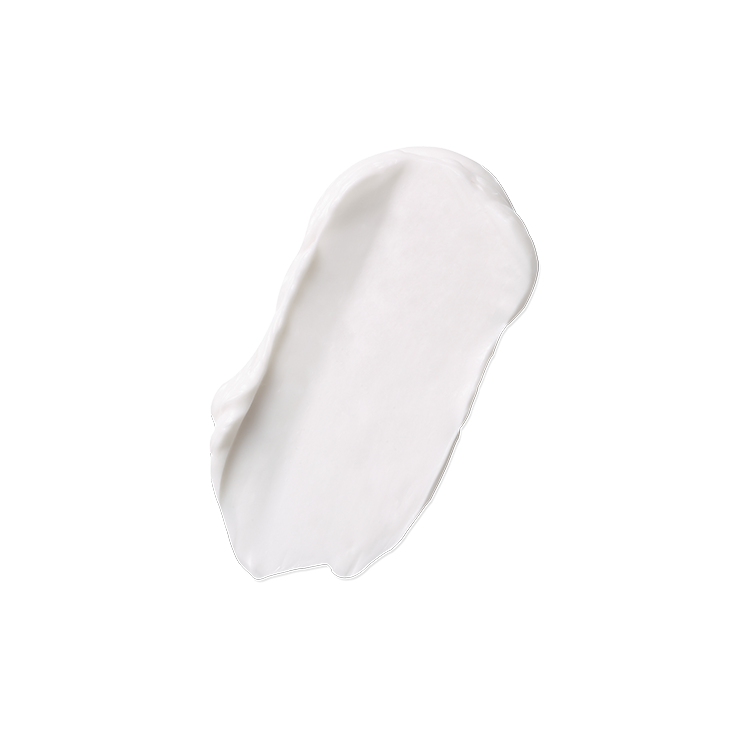 Natural Anti Aging Face Cream with Hydrating Extract
