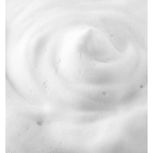 Soothing Echinacea Face Foam Cleanser