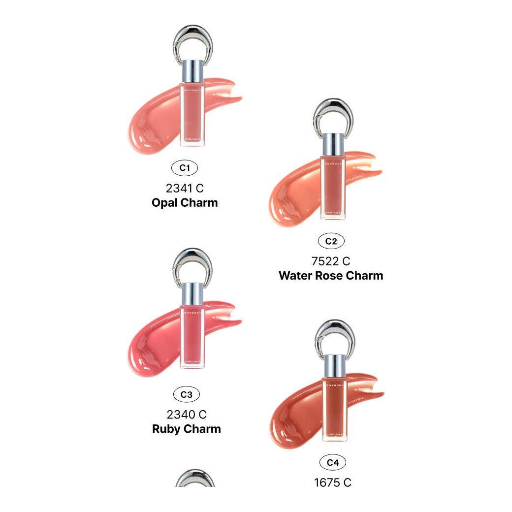 Shiny Makeup Tint 3g | Smooth Gel Finish