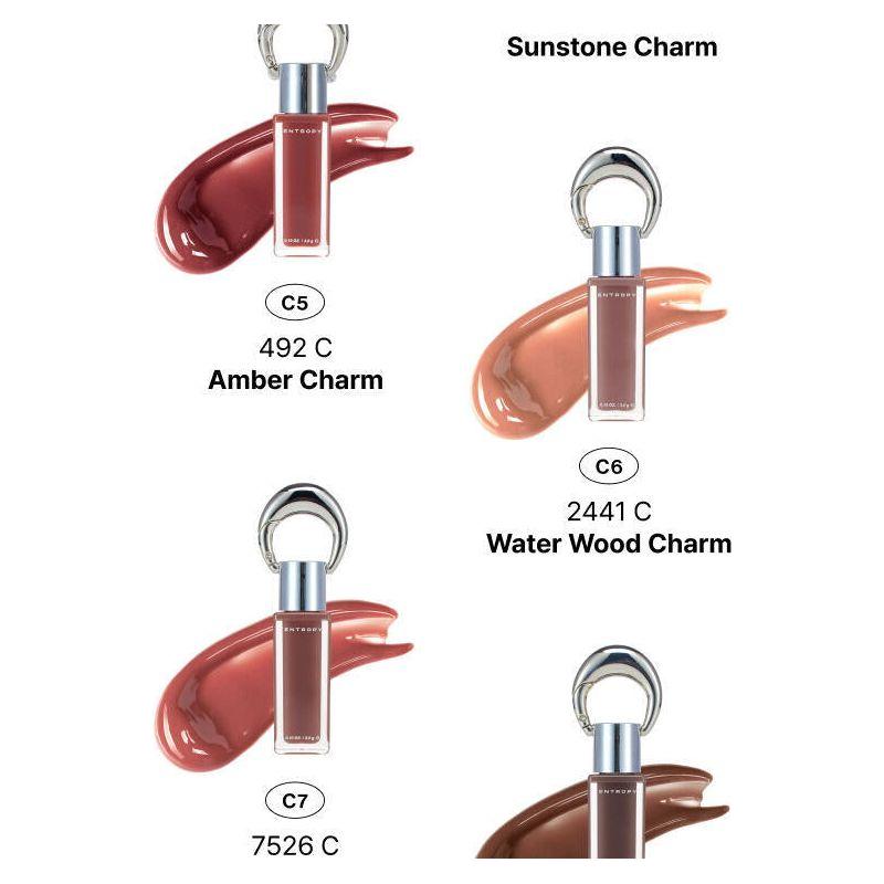 Shiny Makeup Tint 3g | Smooth Gel Finish