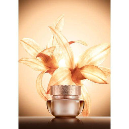 Intensive Night Face Mask for Anti Aging Skin Care