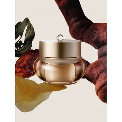 Anti Aging Moisturizing Face Cream 50ml Refill