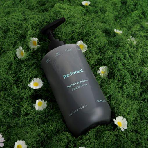 Natural Protein Shampoo for Dry Scalp Care