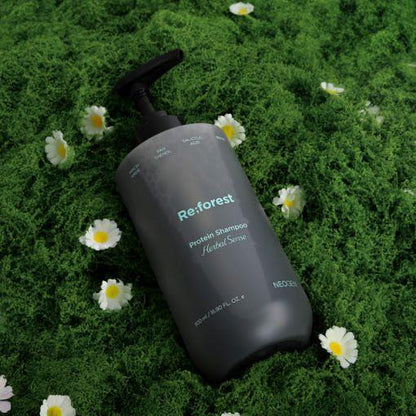 Natural Protein Shampoo for Dry Scalp Care