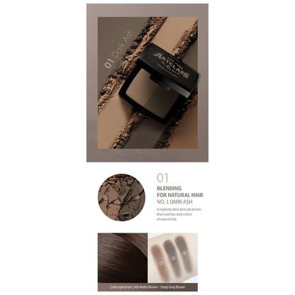 Natural Hair Shadow Kit - Dark Ash Hair Filler