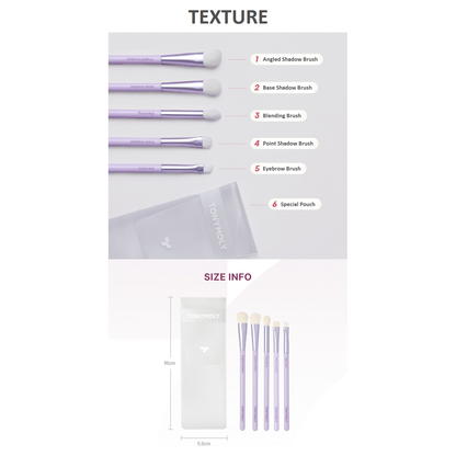 Portable 5pc Eye Makeup Brush Set with Case