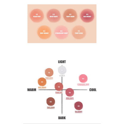 Vibrant Lip Matte 8g - Soft Focus Lipstick