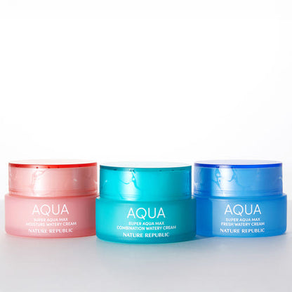 Moisturizing Aqua Rich Hydrating Face Cream 80ml