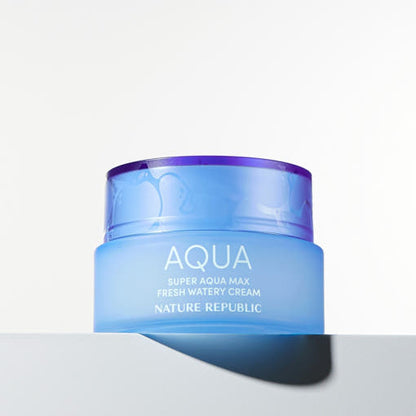 Moisturizing Aqua Rich Hydrating Face Cream 80ml