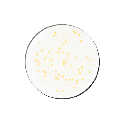 Natural Brightening Face Ampoule 70ml