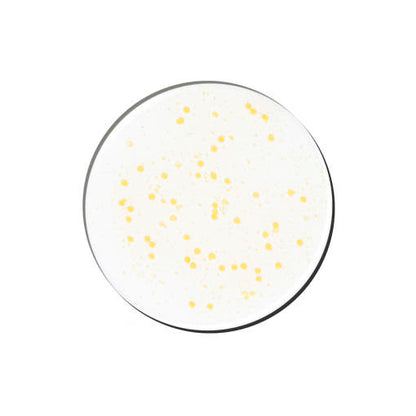 Natural Brightening Face Ampoule 70ml