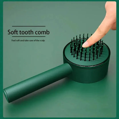 Detangling Anti Frizz Hair Brush