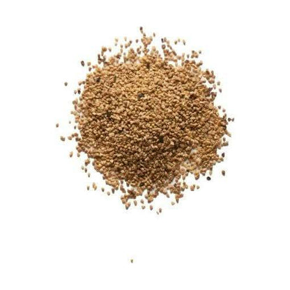 Natural Walnut Exfoliating Body Wash